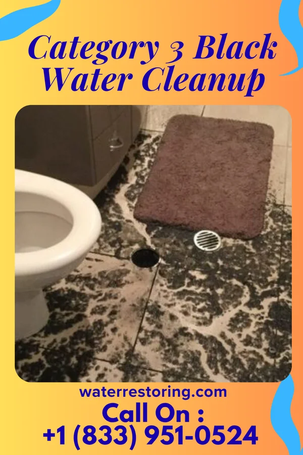 Category 3 Black Water Cleanup in Wappingers Falls, NY