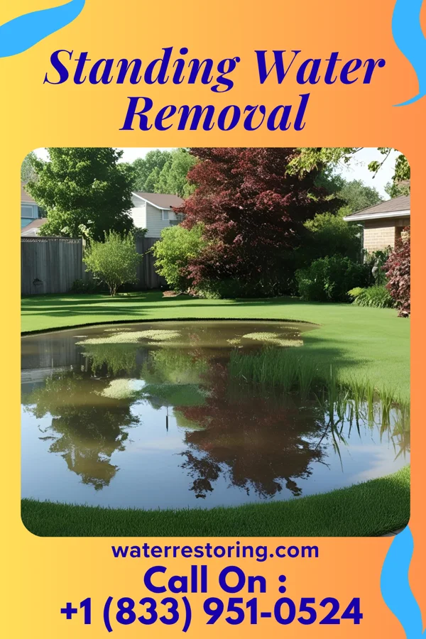 Standing Water Removal in Wappingers Falls, NY